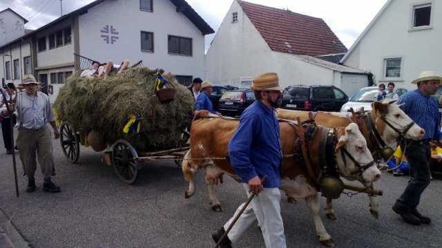 Jubiläum 1250 Jahre Oberschopfheim